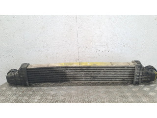 Интеркулер  A2115001002   Mercedes-Benz E W211 2.2