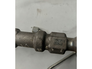 Топливная рампа 55232355, 0445214239   Citroen Nemo  