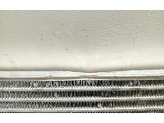 Интеркулер     Skoda Octavia Mk2 (1Z) 