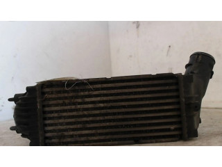 Интеркулер 384G4 Peugeot 307 1.6