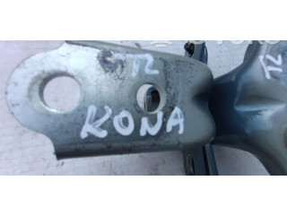 Zpětné zrcátko Hyundai Kona I 2018 ZAWIASYKONATLrr