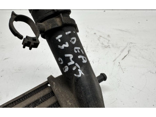 Интеркулер Fiat Idea