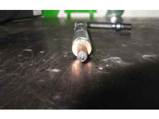 Vstřikovač 484391, 484391 Nissan Almera N16 YD22