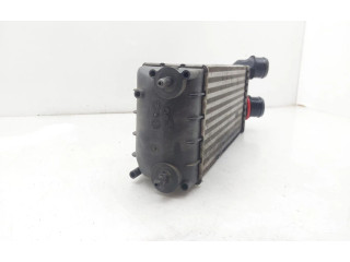 Вентилятор радиатора     9684212480    Citroen C4 I 