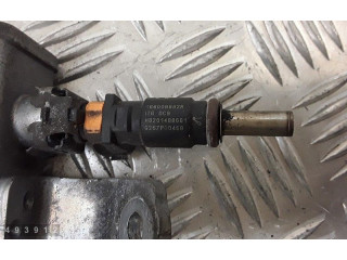 Жиклер (жиклеры) (форсунка (форсунки) 166008992r, h8201488661 Dacia Duster