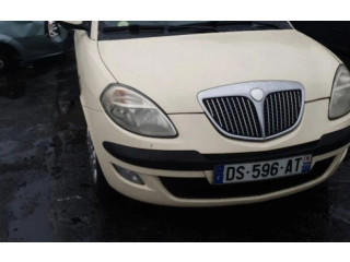 Надувная подушка для крыши    51848464   Lancia Ypsilon