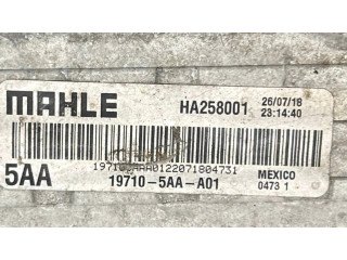 Интеркулер 197105AAA01, HA258001 Honda Civic X 2.0