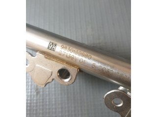 Vstřikovací lišta 9830132980, 9834771480 Opel Mokka B EB2ADTDB