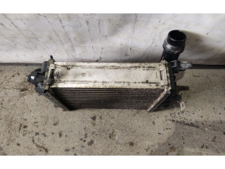 Интеркулер 144961381R Renault Clio III