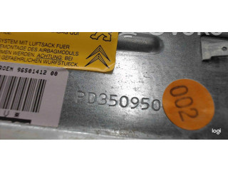 Подушка безопасности двери PD350950 Citroen Berlingo
