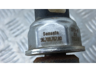 Vstřikovací lišta 9670076780   Citroen Berlingo  pro naftový motor 1.6  