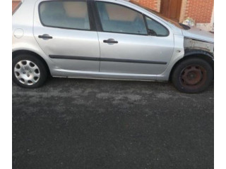 Вентилятор печки       Peugeot 307