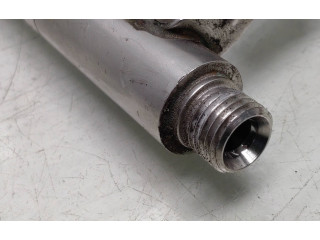 Топливная рампа DM5G9H487AA, 0261555137   Ford Fiesta  