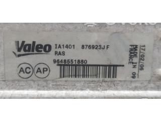 Интеркулер 9648551880 Citroen C4 I