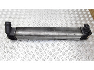 Интеркулер  8200880552b   Dacia Duster 