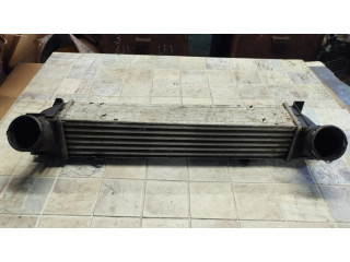 Интеркулер 752491606, 3213329 BMW 1 E81 E87 2.0