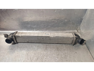 Интеркулер 275127707, AU0000226 Mini Cooper Countryman R60 1.6