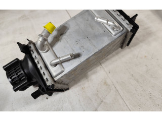 Интеркулер  04E145785E, GV020005   Audi Q3 F3 