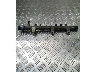 Топливная рампа 314002F600, 018929   KIA Sportage  