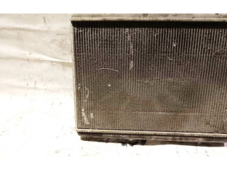 Интеркулер     Peugeot 3008 I 