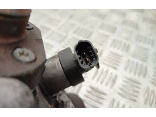 Комплект системы впрыска топлива 31216313, 0281002990    Volvo V70  d5244t10 