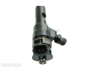 Жиклер (жиклеры) (форсунка (форсунки) 0445110652, 0445110652   Dacia Duster    