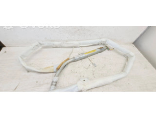 Боковая подушка безопасности 46803807, 1L022530857 Fiat Multipla