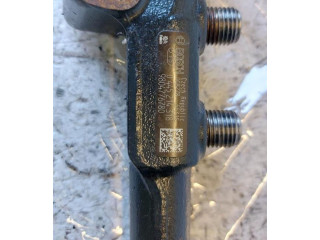 Топливная рампа 0445214318, 0445214318   Citroen C3  