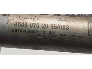 Топливная рампа A6400702095 Mercedes-Benz A W169