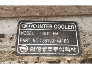 Интеркулер 281904A160, BL02EM KIA Sorento