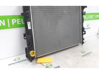 Модуль управления BSM 214106666R, 214106666R   Renault Captur    