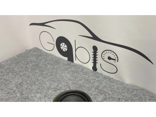 Громкоговоритель (громкоговорители) в передних дверях