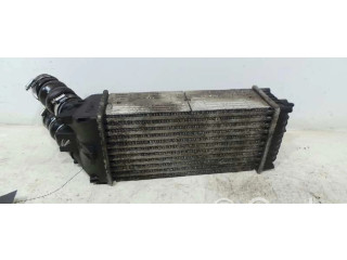 Интеркулер Citroen Berlingo 2.0