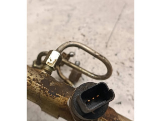 Топливная рампа 0445214019, 00645   Peugeot 406  