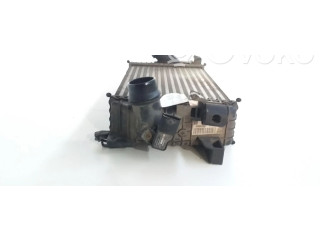 Интеркулер T2935004 Opel Meriva B