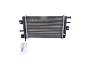 Модуль управления BSM 214109411R   Dacia Spring    