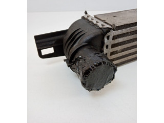 Интеркулер 51790623 Fiat Qubo