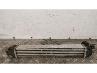 Интеркулер  1751850690402   Mini Cooper Countryman R60 2.0