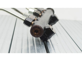 Топливная рампа 9804776780, 9676643880   Ford Kuga II 1.5 