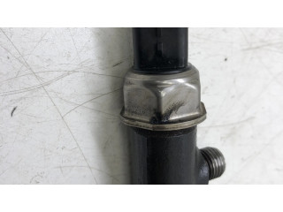 Топливная рампа 968529758002, 9670076780   Citroen C4 Grand Picasso 1.6  для двигателя DV60TED