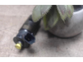 Vstřikovač Citroen C3