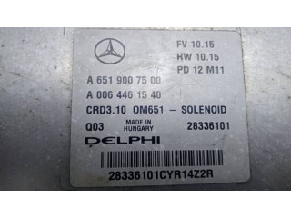 Řídící jednotka A6519007500, 28336101 Mercedes-Benz C W204 2013