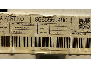 Панель приборов 9665560480 Citroen C5