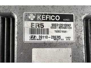 Turbodmychadlo Блок управления двигателя 391102BER5, NP184   KIA Rio   