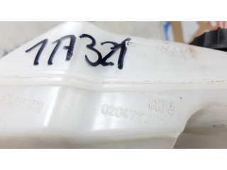 Пузырь тормозного вакуума