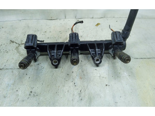 Топливная рампа 03D133319K Skoda Fabia Mk2 (5J)