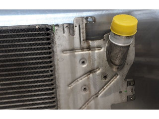 Интеркулер 131302020181 Renault Clio II