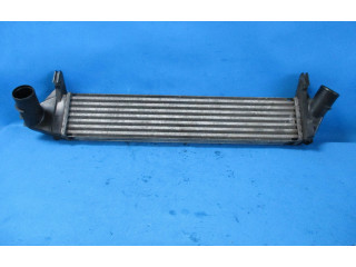 Интеркулер 8200409045 Dacia Logan I