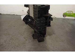 Интеркулер 13283252, R3449004 Opel Meriva B