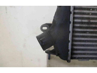 Интеркулер 8200411160, 8200411160 Renault Trafic II (X83)